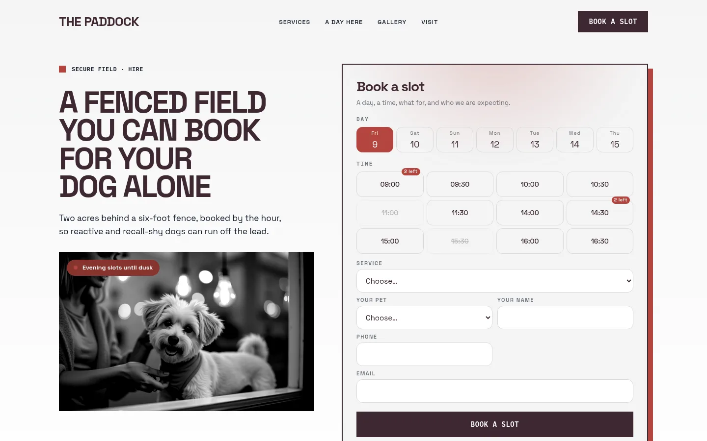The The Paddock website, as a visitor sees it