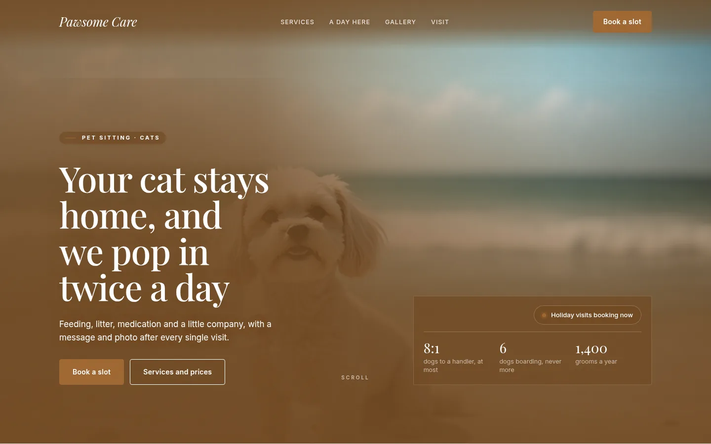 The Pawsome Care website, as a visitor sees it