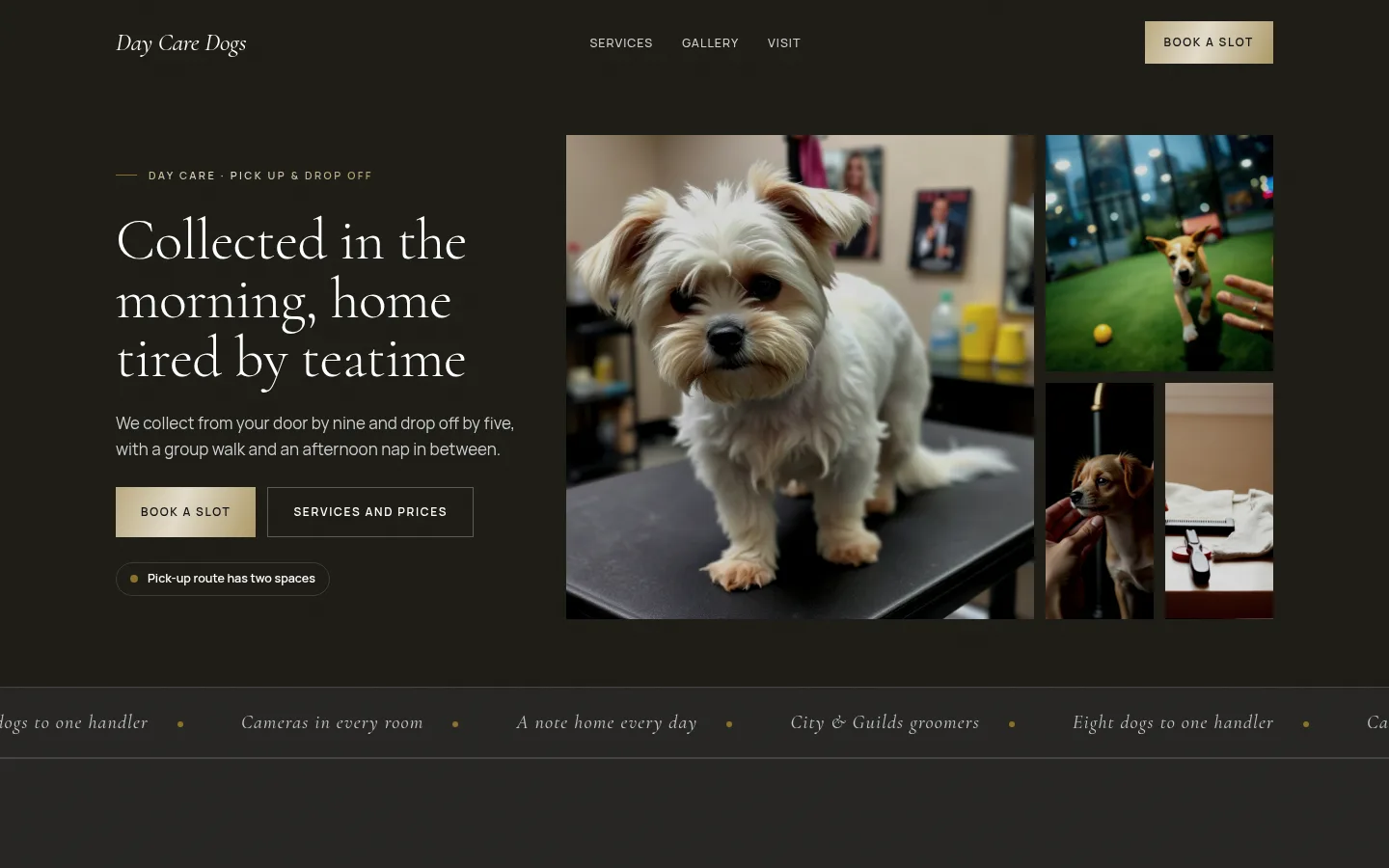 The Day Care Dogs website, as a visitor sees it