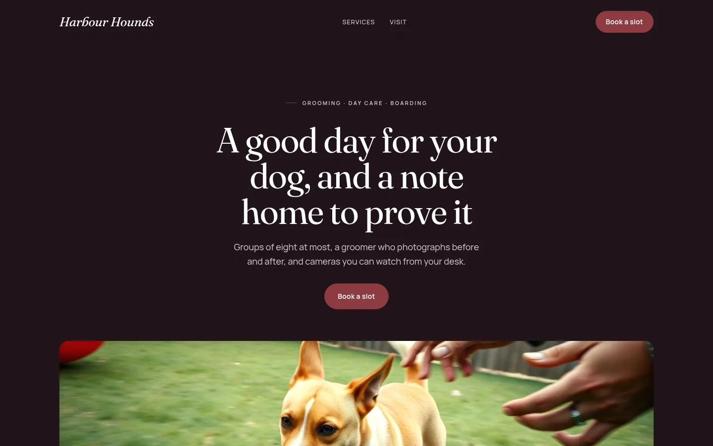 The Harbour Hounds website, as a visitor sees it