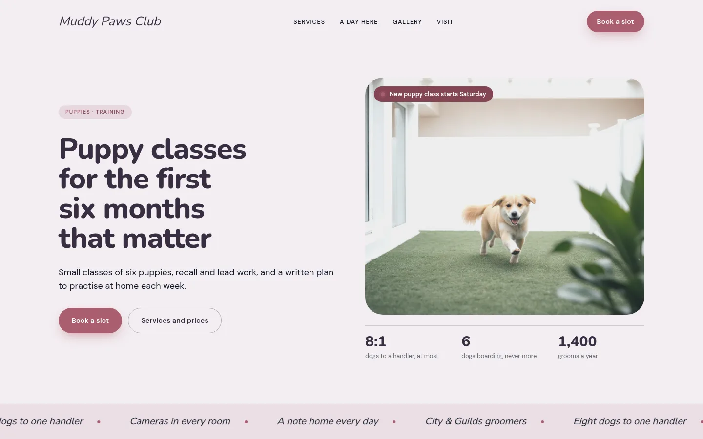 The Muddy Paws Club website, as a visitor sees it